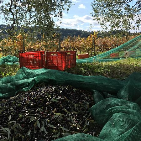 Tenuta Guardastelle - Agriturismo And Vineyard San Gimignano Ngoại thất bức ảnh